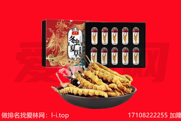 新吴区回收虫草.jpg